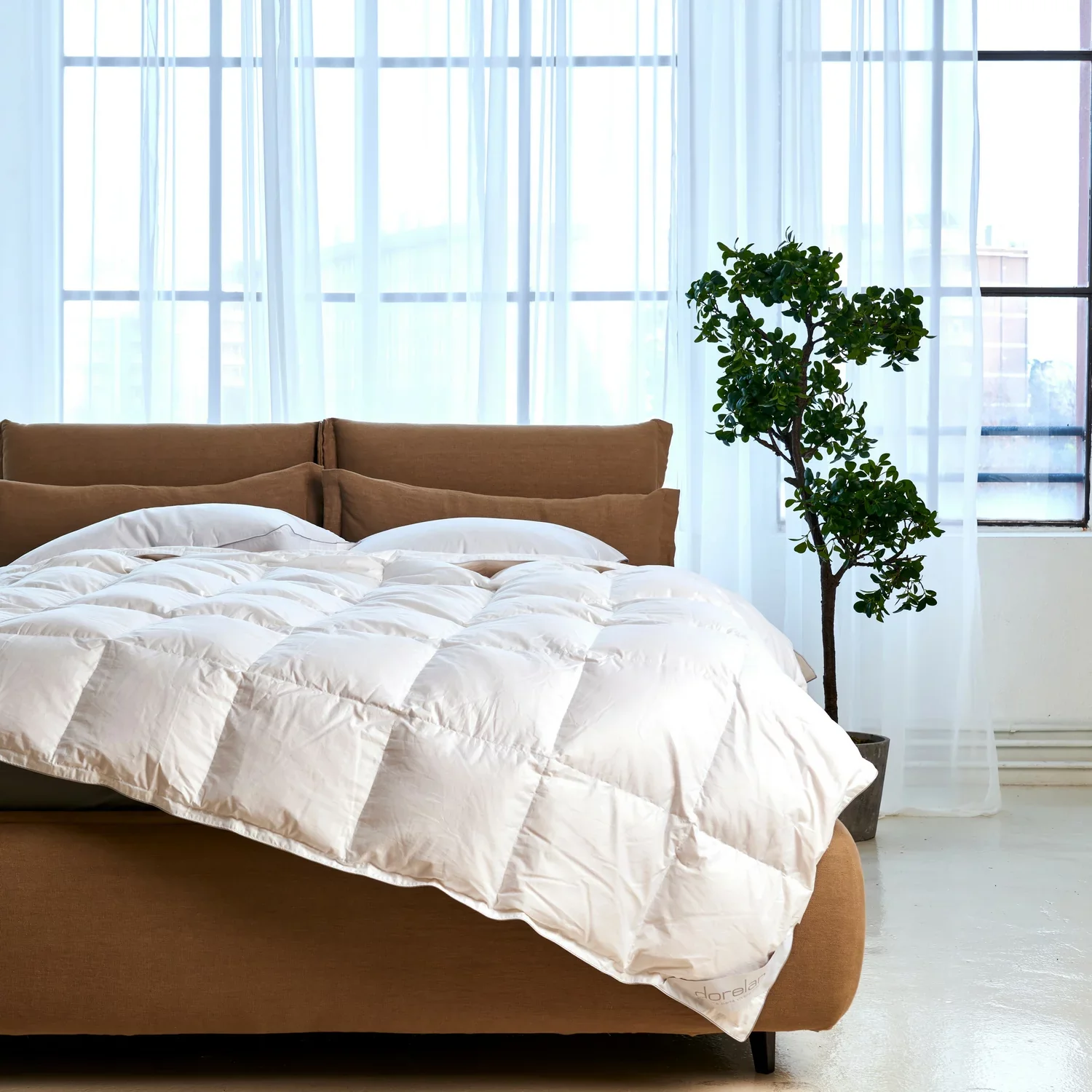 CLIO - Image 3