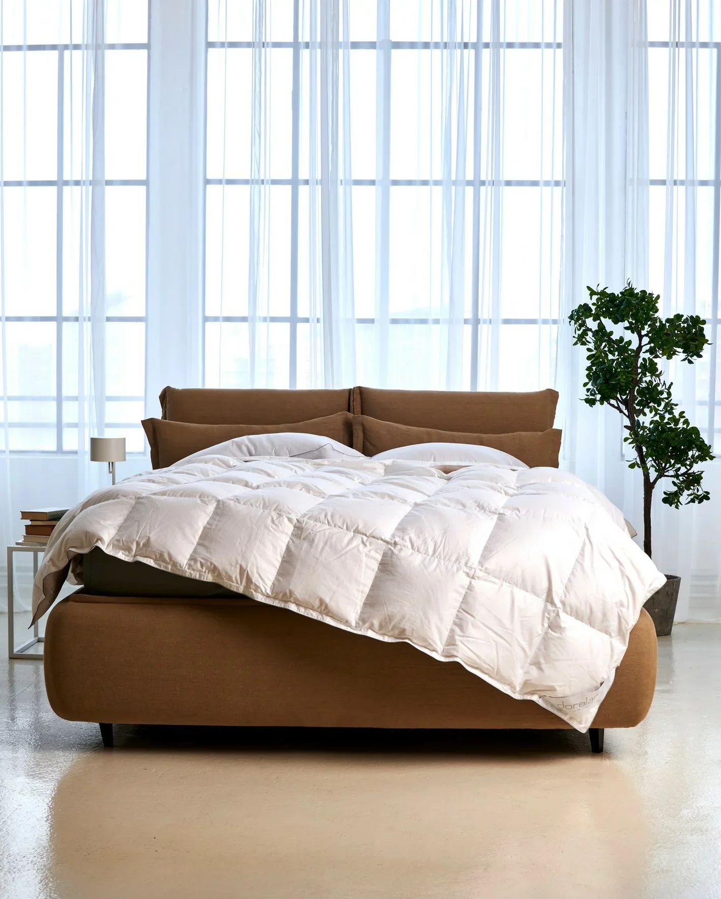 CLIO - Image 5