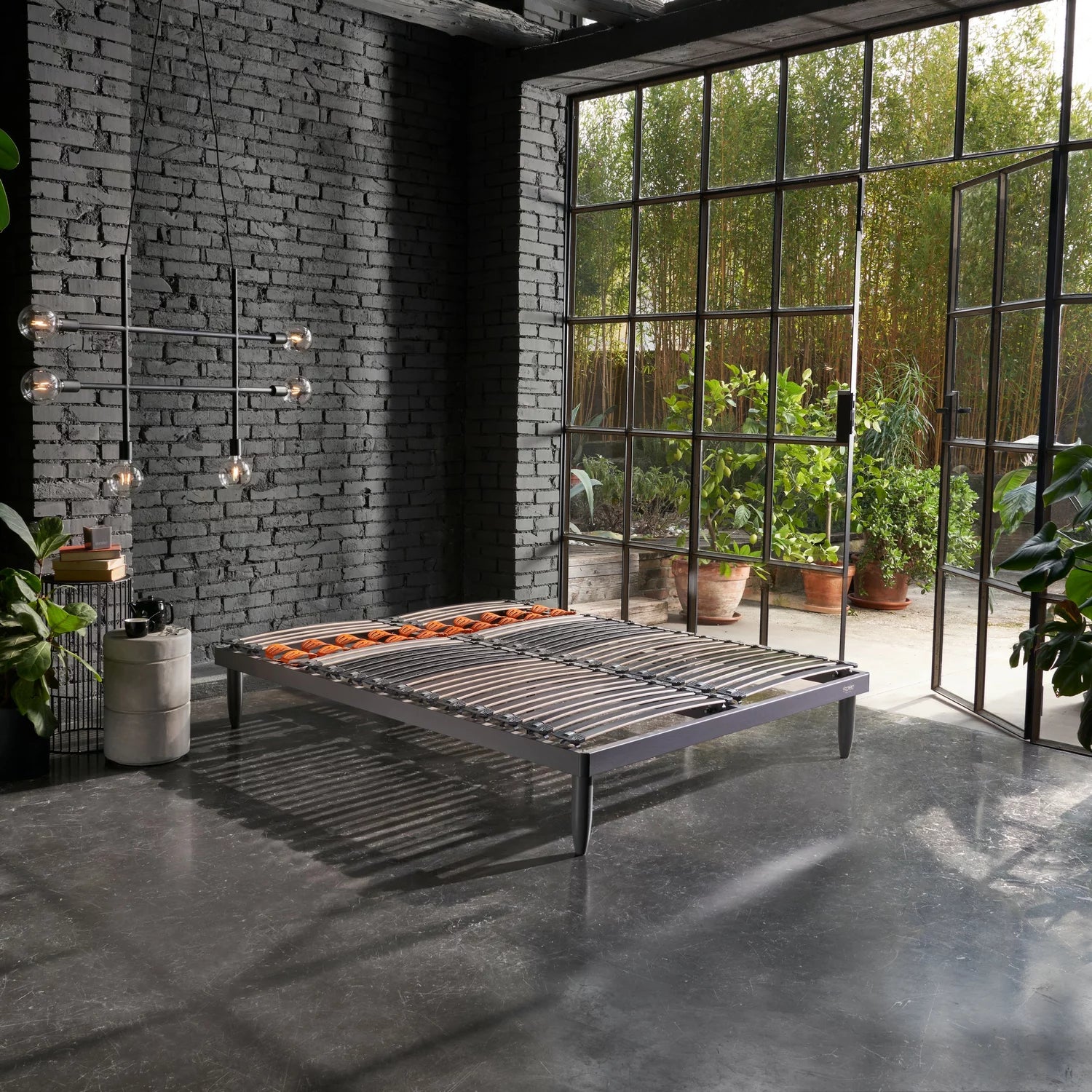 FUTURA - Image 5